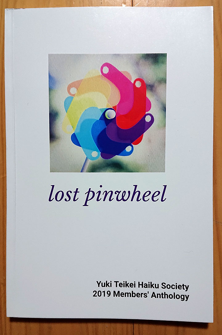 『lost pinwheel (失くした風車)』